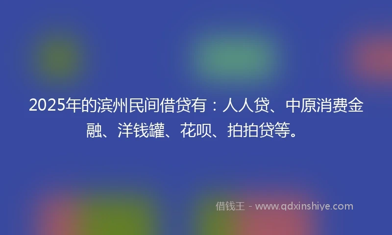 2025年的滨州民间借贷有：人人贷、中原消费金融、洋钱罐、花呗、拍拍贷等。