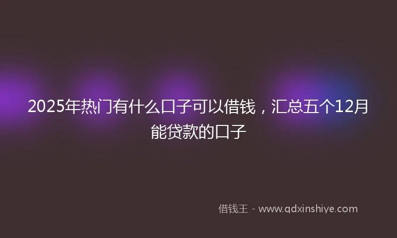 2025年热门有什么口子可以借钱，汇总五个12月能贷款的口子