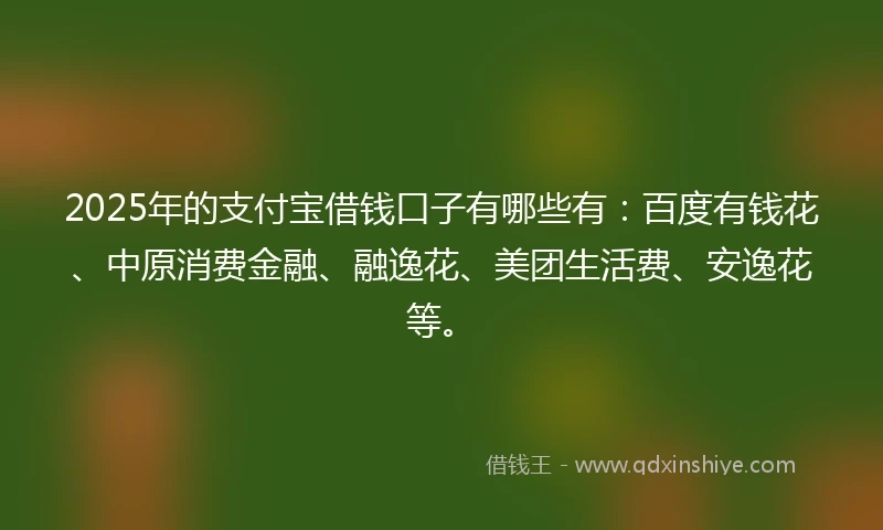 2025年的支付宝借钱口子有哪些有：百度有钱花、中原消费金融、融逸花、美团生活费、安逸花等。