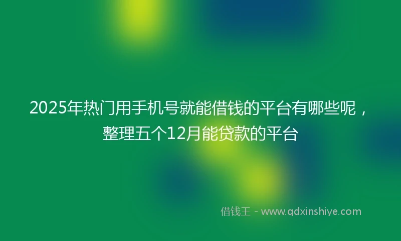 2025年热门用手机号就能借钱的平台有哪些呢，整理五个12月能贷款的平台