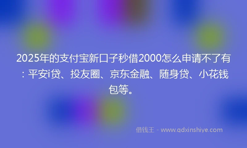 2025年的支付宝新口子秒借2000怎么申请不了有：平安i贷、投友圈、京东金融、随身贷、小花钱包等。