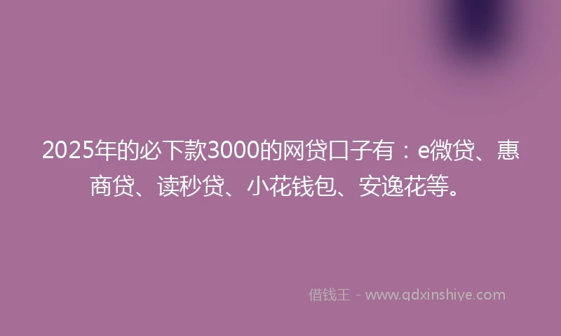 2025年的必下款3000的网贷口子有：e微贷、惠商贷、读秒贷、小花钱包、安逸花等。