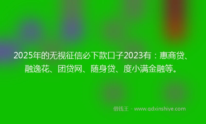2025年的无视征信必下款口子2023有：惠商贷、融逸花、团贷网、随身贷、度小满金融等。
