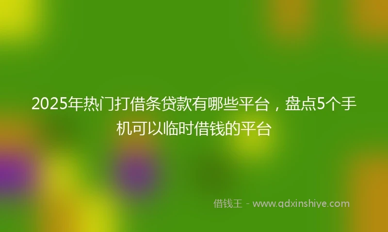 2025年热门打借条贷款有哪些平台，盘点5个手机可以临时借钱的平台