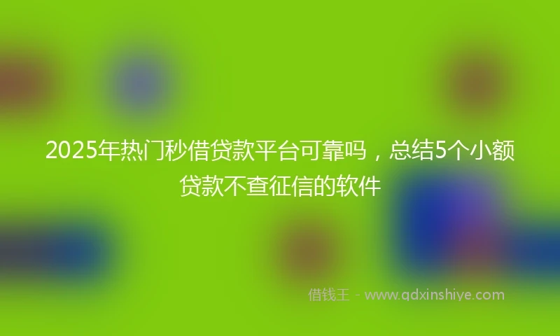 2025年热门秒借贷款平台可靠吗，总结5个小额贷款不查征信的软件