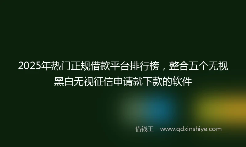 2025年热门正规借款平台排行榜，整合五个无视黑白无视征信申请就下款的软件