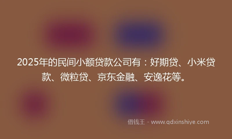 2025年的民间小额贷款公司有：好期贷、小米贷款、微粒贷、京东金融、安逸花等。