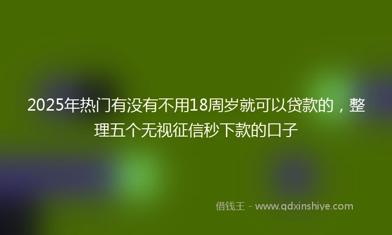 2025年热门有没有不用18周岁就可以贷款的，整理五个无视征信秒下款的口子