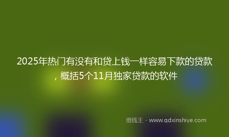 2025年热门有没有和贷上钱一样容易下款的贷款，概括5个11月独家贷款的软件