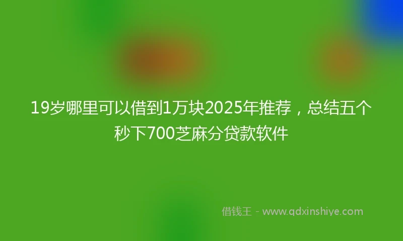 19岁哪里可以借到1万块2025年推荐，总结五个秒下700芝麻分贷款软件