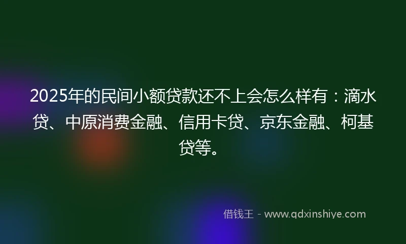 2025年的民间小额贷款还不上会怎么样有：滴水贷、中原消费金融、信用卡贷、京东金融、柯基贷等。