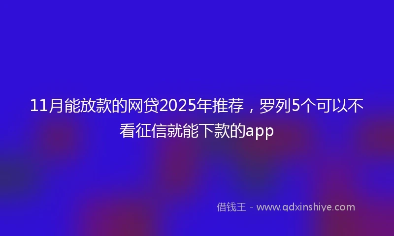 11月能放款的网贷2025年推荐，罗列5个可以不看征信就能下款的app