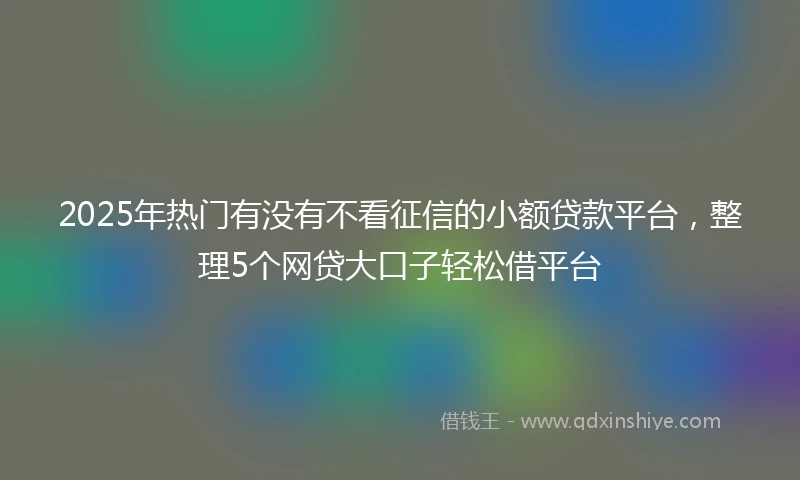 2025年热门有没有不看征信的小额贷款平台，整理5个网贷大口子轻松借平台
