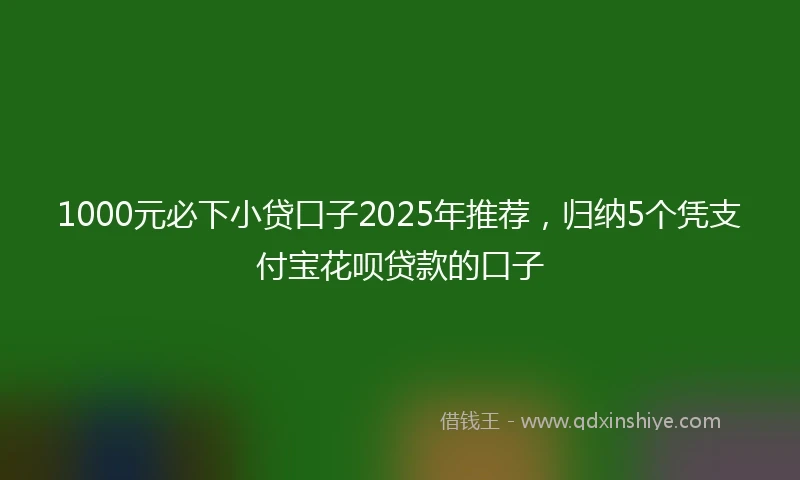 1000元必下小贷口子2025年推荐，归纳5个凭支付宝花呗贷款的口子