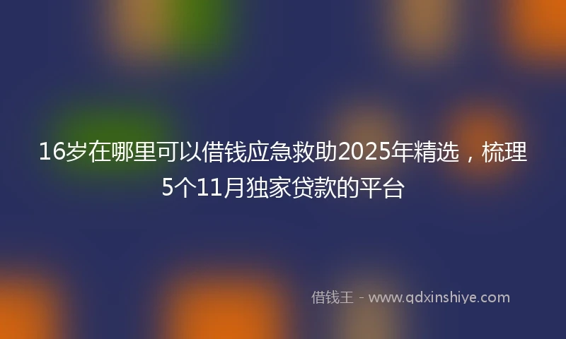 16岁在哪里可以借钱应急救助2025年精选，梳理5个11月独家贷款的平台