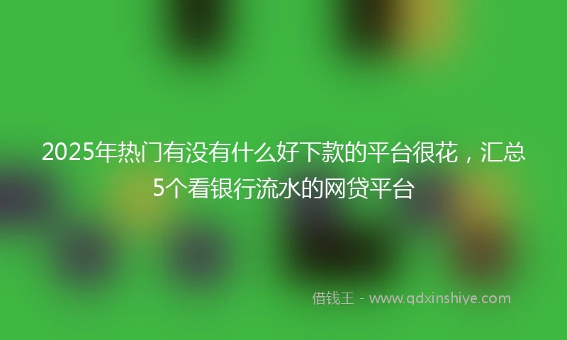 2025年热门有没有什么好下款的平台很花，汇总5个看银行流水的网贷平台