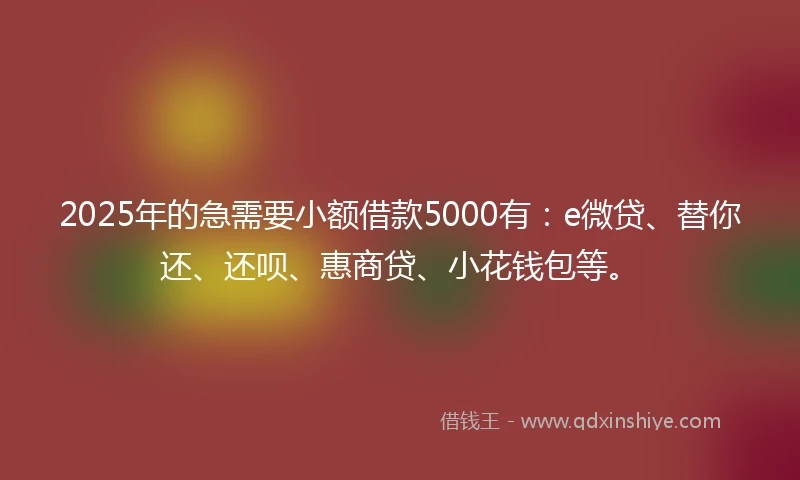 2025年的急需要小额借款5000有：e微贷、替你还、还呗、惠商贷、小花钱包等。