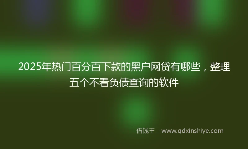 2025年热门百分百下款的黑户网贷有哪些，整理五个不看负债查询的软件