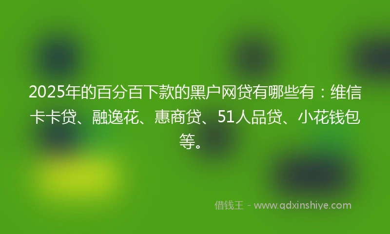 2025年的百分百下款的黑户网贷有哪些有：维信卡卡贷、融逸花、惠商贷、51人品贷、小花钱包等。