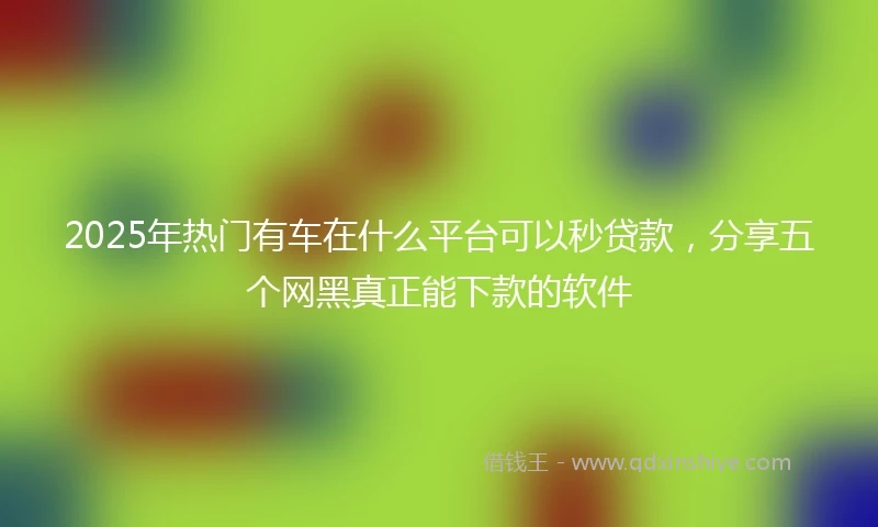 2025年热门有车在什么平台可以秒贷款，分享五个网黑真正能下款的软件