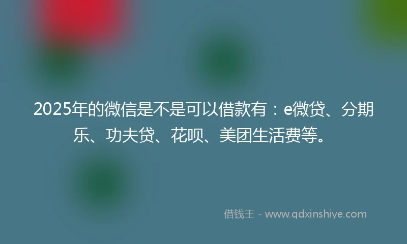 2025年的微信是不是可以借款有：e微贷、分期乐、功夫贷、花呗、美团生活费等。