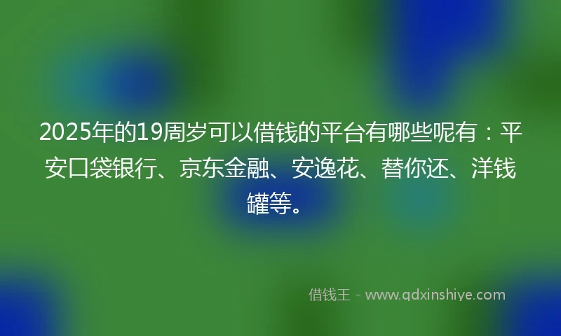 2025年的19周岁可以借钱的平台有哪些呢有：平安口袋银行、京东金融、安逸花、替你还、洋钱罐等。