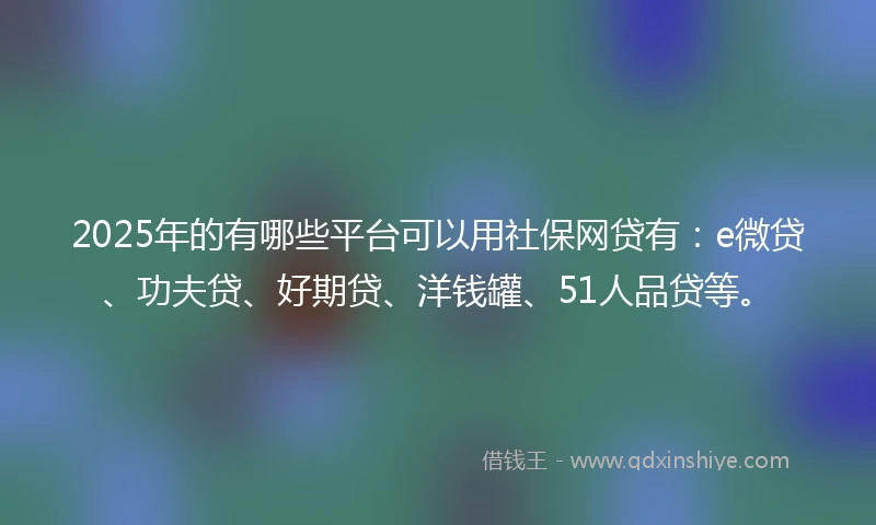 2025年的有哪些平台可以用社保网贷有：e微贷、功夫贷、好期贷、洋钱罐、51人品贷等。