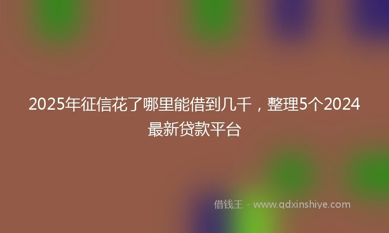 2025年征信花了哪里能借到几千，整理5个2024最新贷款平台