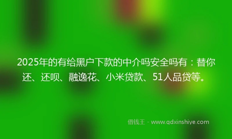 2025年的有给黑户下款的中介吗安全吗有：替你还、还呗、融逸花、小米贷款、51人品贷等。