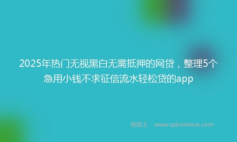 2025年热门无视黑白无需抵押的网贷，整理5个急用小钱不求征信流水轻松贷的app