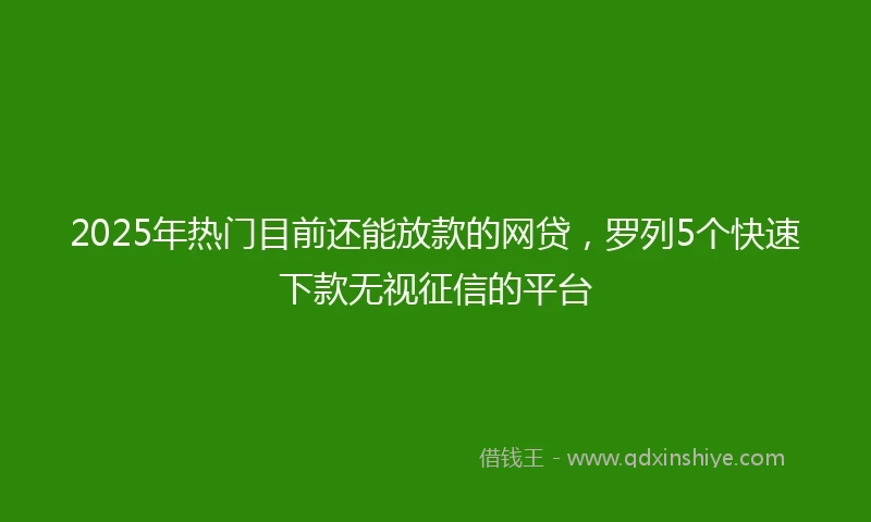 2025年热门目前还能放款的网贷，罗列5个快速下款无视征信的平台