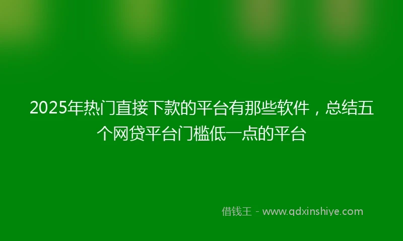 2025年热门直接下款的平台有那些软件，总结五个网贷平台门槛低一点的平台