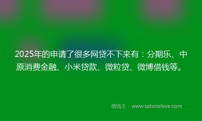 2025年的申请了很多网贷不下来有：分期乐、中原消费金融、小米贷款、微粒贷、微博借钱等。