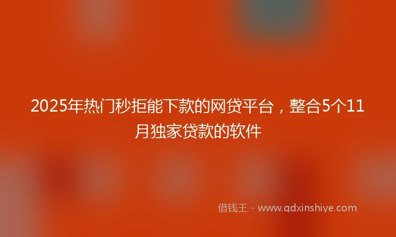 2025年热门秒拒能下款的网贷平台，整合5个11月独家贷款的软件