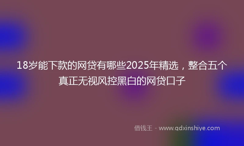 18岁能下款的网贷有哪些2025年精选，整合五个真正无视风控黑白的网贷口子
