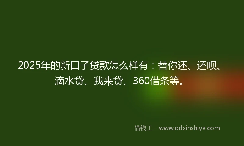 2025年的新口子贷款怎么样有：替你还、还呗、滴水贷、我来贷、360借条等。
