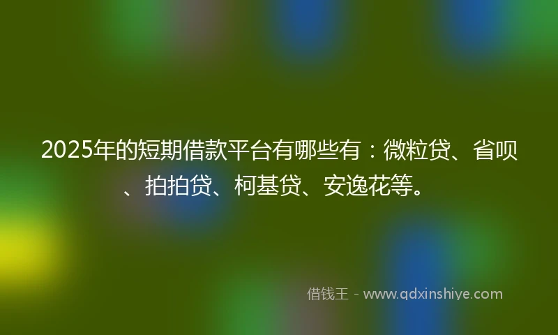 2025年的短期借款平台有哪些有：微粒贷、省呗、拍拍贷、柯基贷、安逸花等。