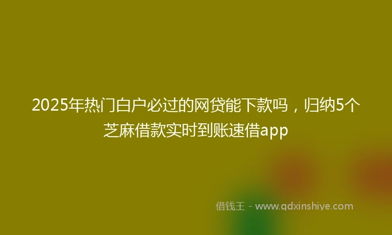 2025年热门白户必过的网贷能下款吗，归纳5个芝麻借款实时到账速借app