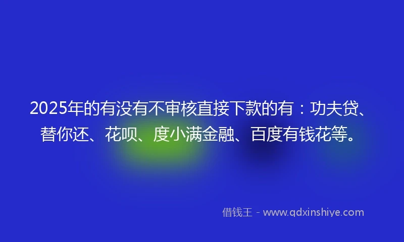 2025年的有没有不审核直接下款的有：功夫贷、替你还、花呗、度小满金融、百度有钱花等。