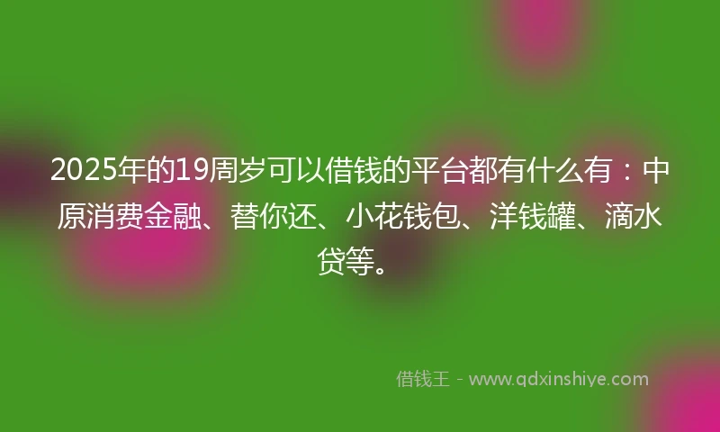 2025年的19周岁可以借钱的平台都有什么有：中原消费金融、替你还、小花钱包、洋钱罐、滴水贷等。