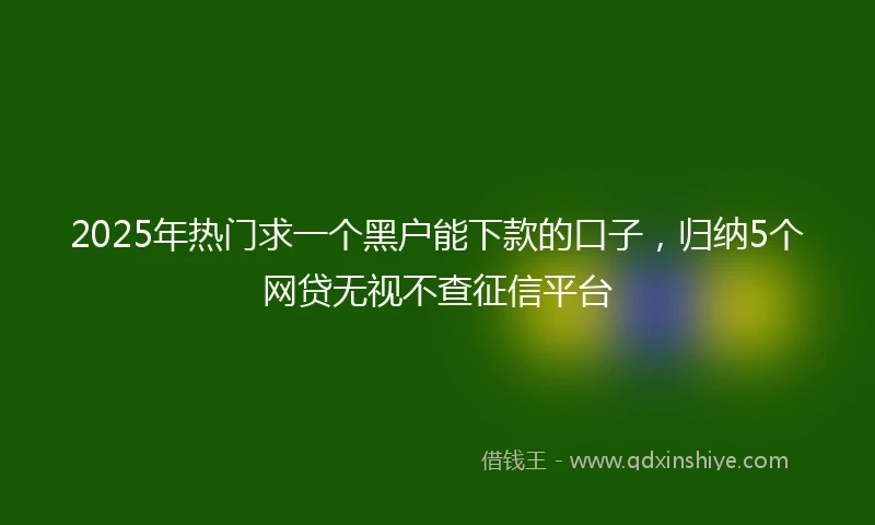 2025年热门求一个黑户能下款的口子，归纳5个网贷无视不查征信平台