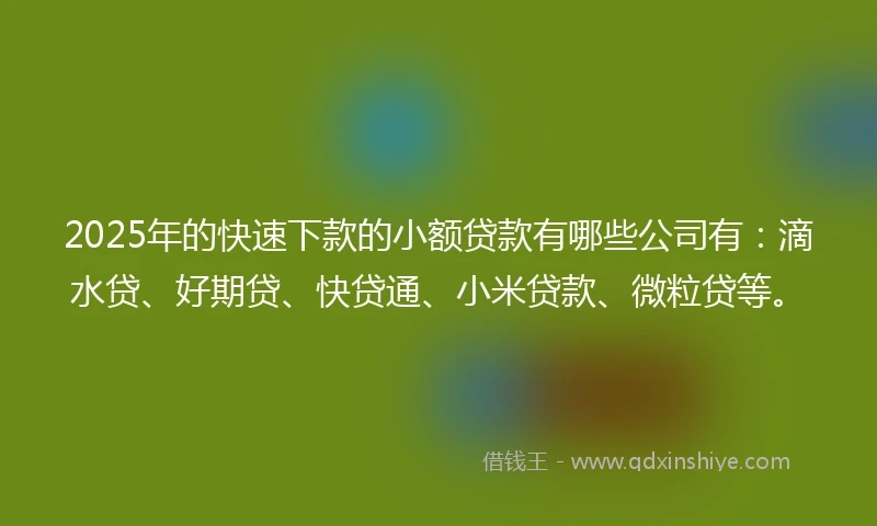 2025年的快速下款的小额贷款有哪些公司有：滴水贷、好期贷、快贷通、小米贷款、微粒贷等。