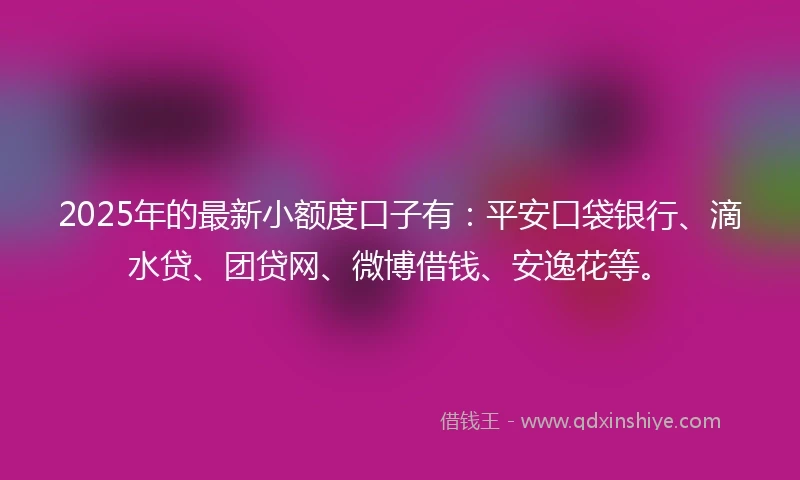 2025年的最新小额度口子有：平安口袋银行、滴水贷、团贷网、微博借钱、安逸花等。