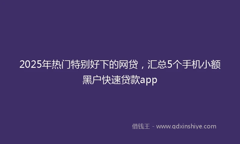 2025年热门特别好下的网贷,汇总5个手机小额黑户快速贷款app