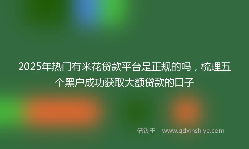 2025年热门有米花贷款平台是正规的吗，梳理五个黑户成功获取大额贷款的口子