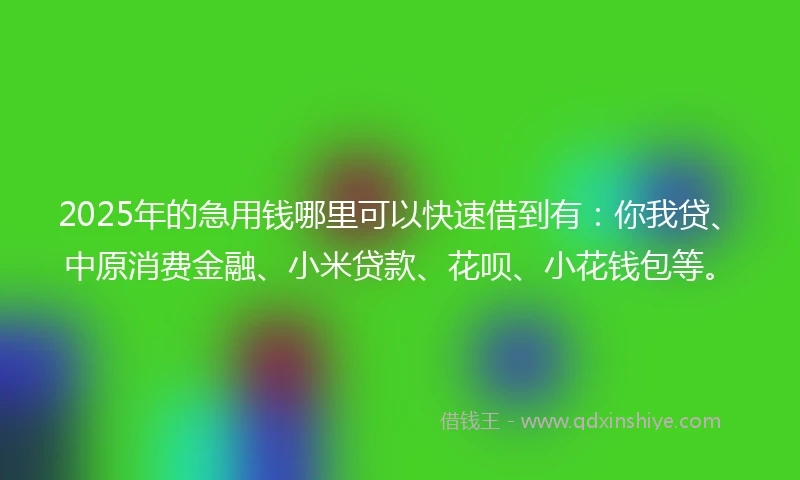 2025年的急用钱哪里可以快速借到有：你我贷、中原消费金融、小米贷款、花呗、小花钱包等。