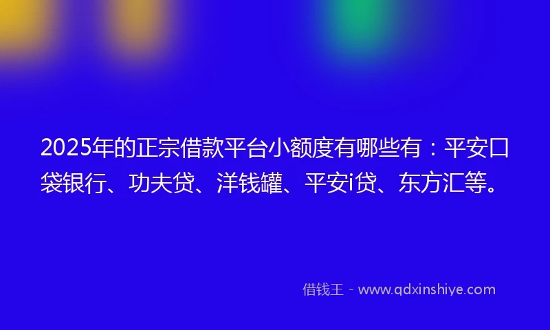2025年的正宗借款平台小额度有哪些有：平安口袋银行、功夫贷、洋钱罐、平安i贷、东方汇等。