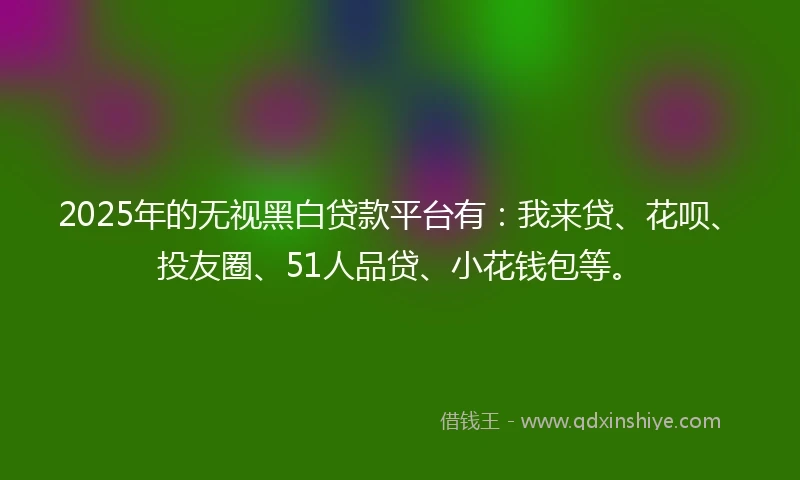 2025年的无视黑白贷款平台有：我来贷、花呗、投友圈、51人品贷、小花钱包等。