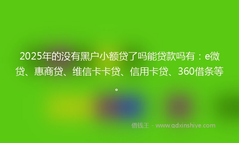 2025年的没有黑户小额贷了吗能贷款吗有：e微贷、惠商贷、维信卡卡贷、信用卡贷、360借条等。