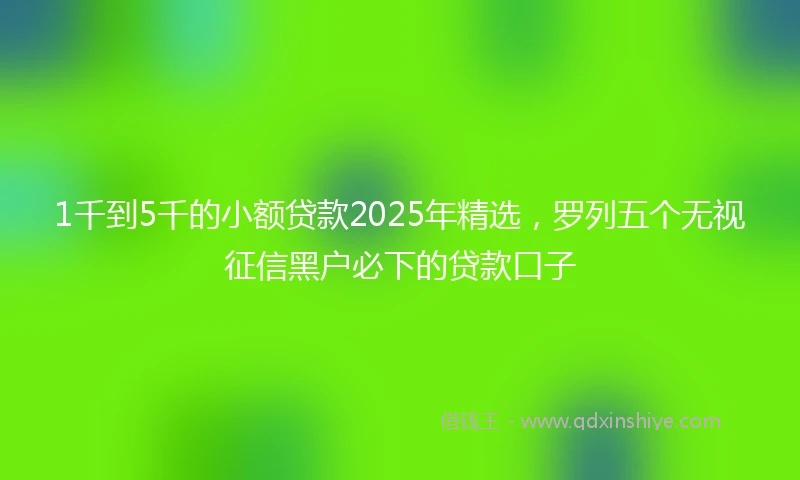 1千到5千的小额贷款2025年精选，罗列五个无视征信黑户必下的贷款口子